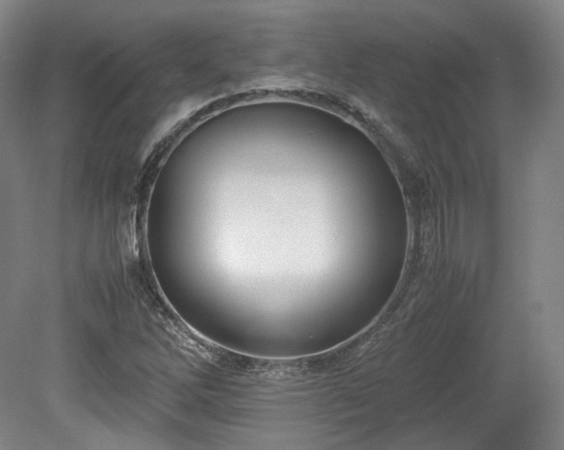 X0000078881262200611201401