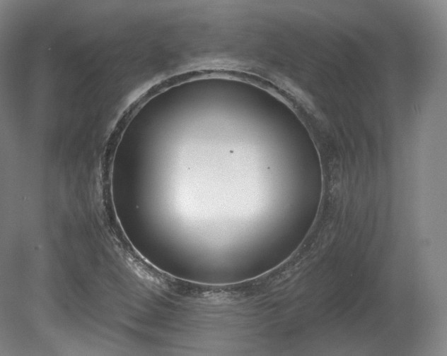 X0000078881264200611201401