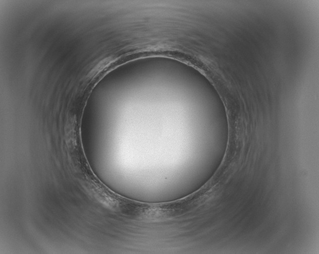 X0000078881265200611201401