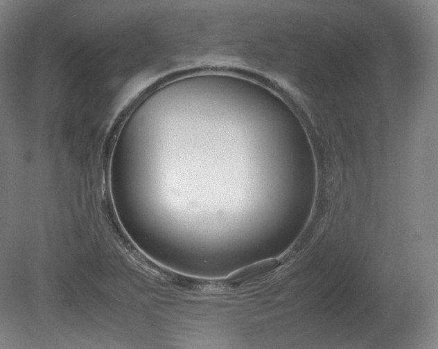 X0000078881271200611201401