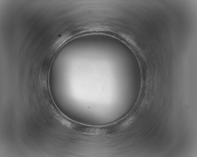 X0000078881273200611201401