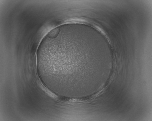 X0000078881275200611201401