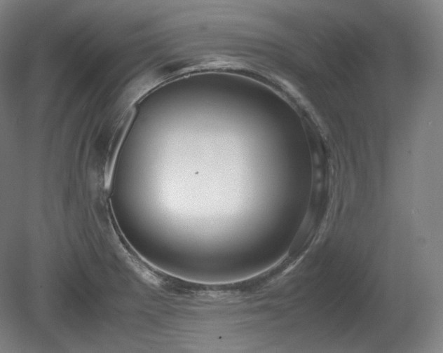 X0000078881281200611201401