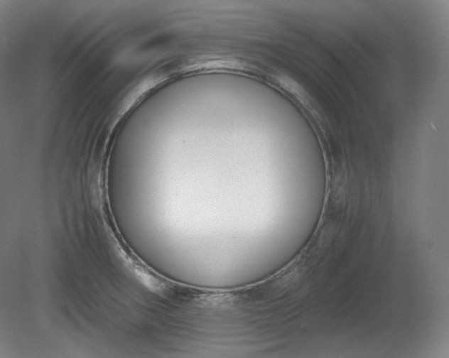 X0000078881282200611201401