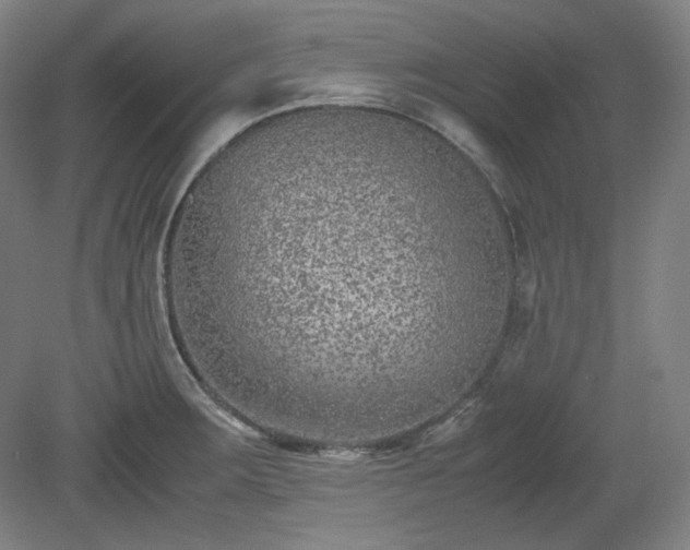 X0000078881283200611201401