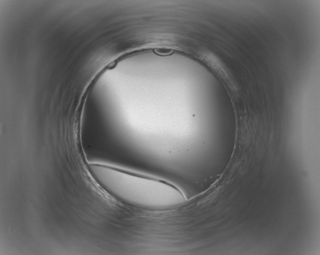 X0000078881284200611201401