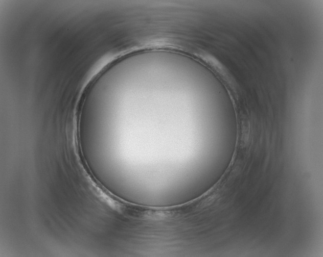 X0000078881286200611201401