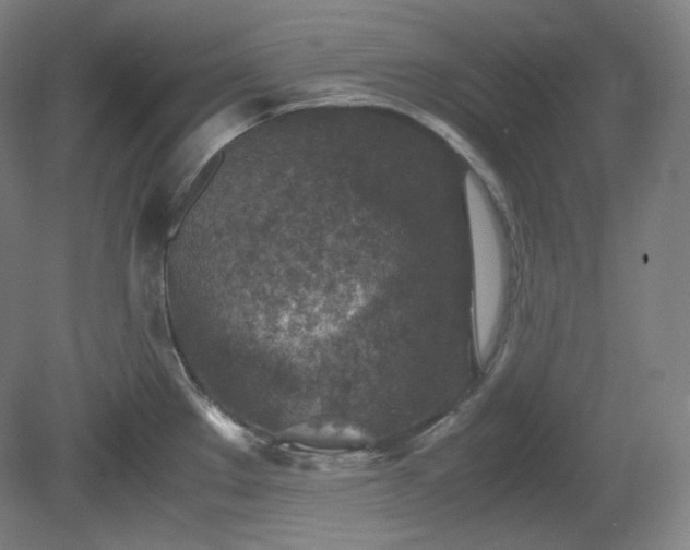 X0000078881289200611201401