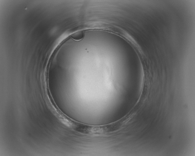 X0000078881291200611201401