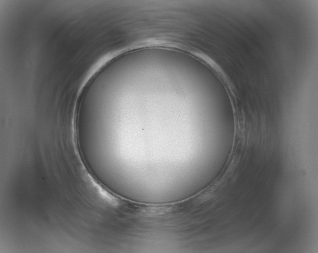 X0000078881294200611201401