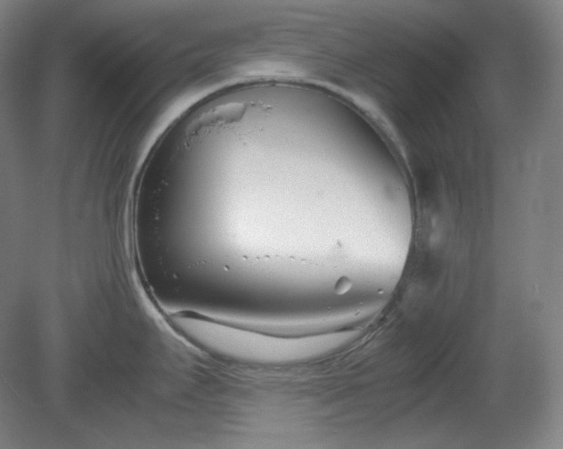 X0000078881295200611201401