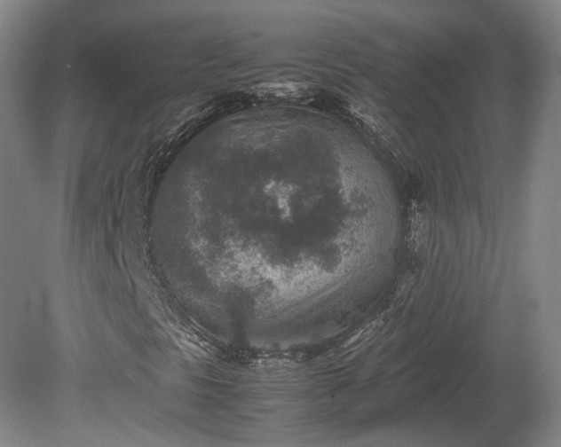 X0000078881297200611201400