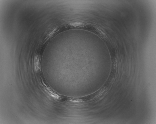 X0000078881298200611201400