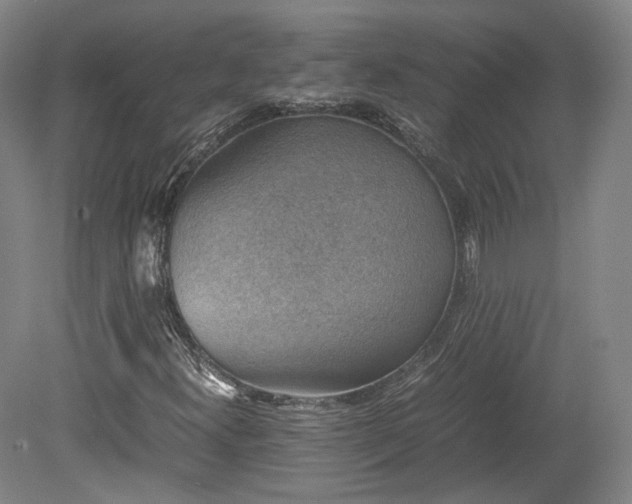 X0000078881300200611201400