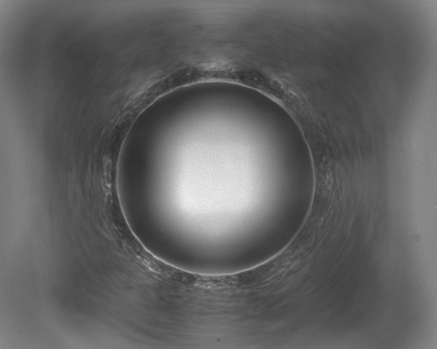 X0000078881301200611201400