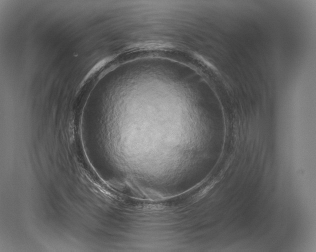 X0000078881306200611201400