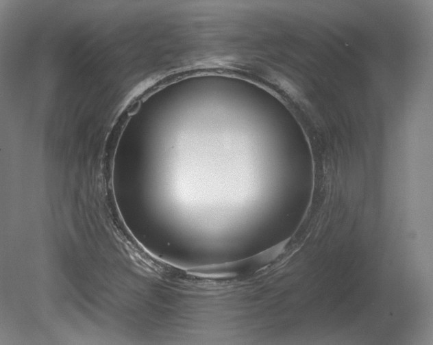 X0000078881308200611201400
