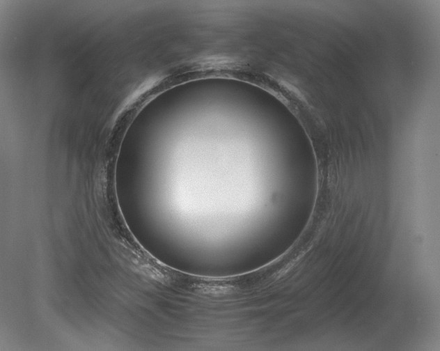 X0000078881309200611201400