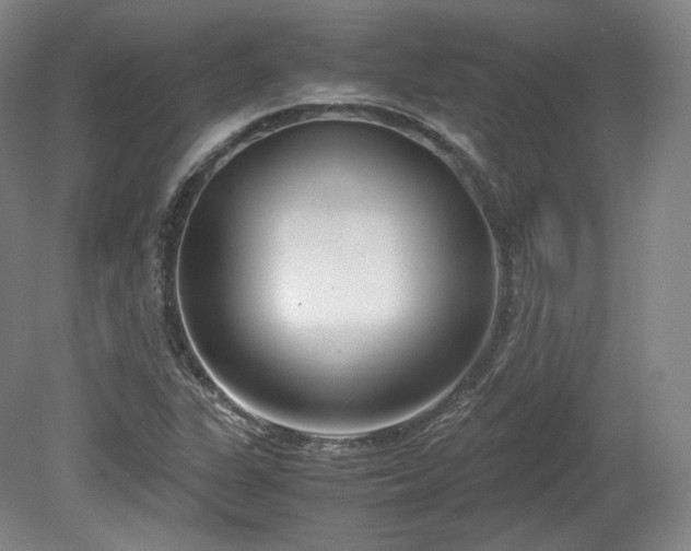 X0000078881311200611201400