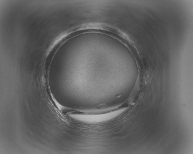 X0000078881312200611201400