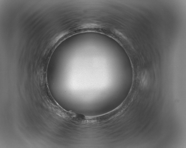 X0000078881313200611201400