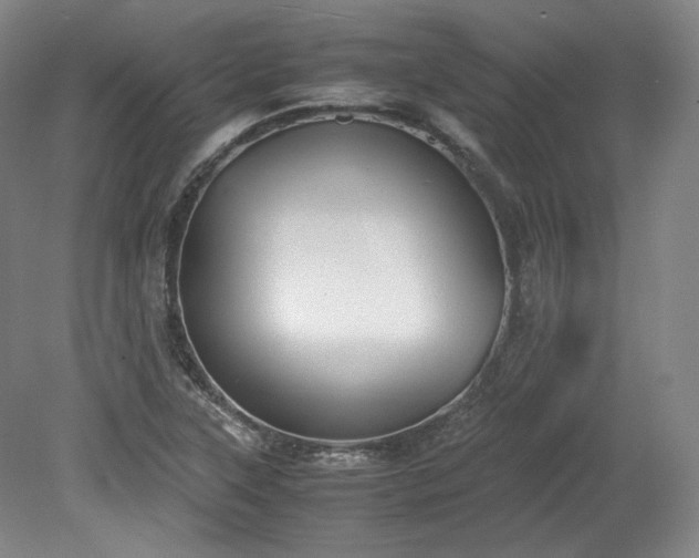 X0000078881315200611201400