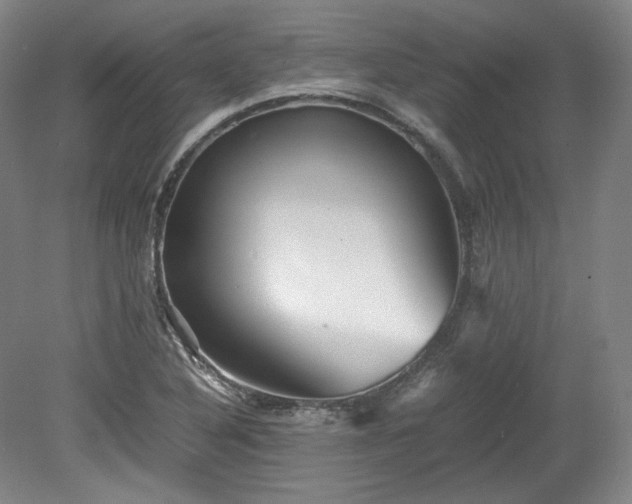 X0000078881316200611201400