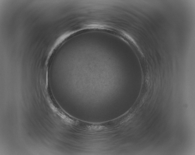 X0000078881323200611201400