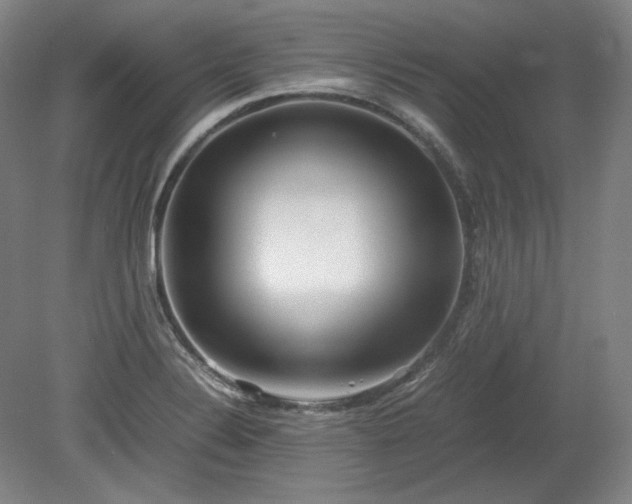 X0000078881324200611201400
