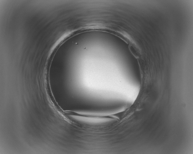 X0000078881325200611201400