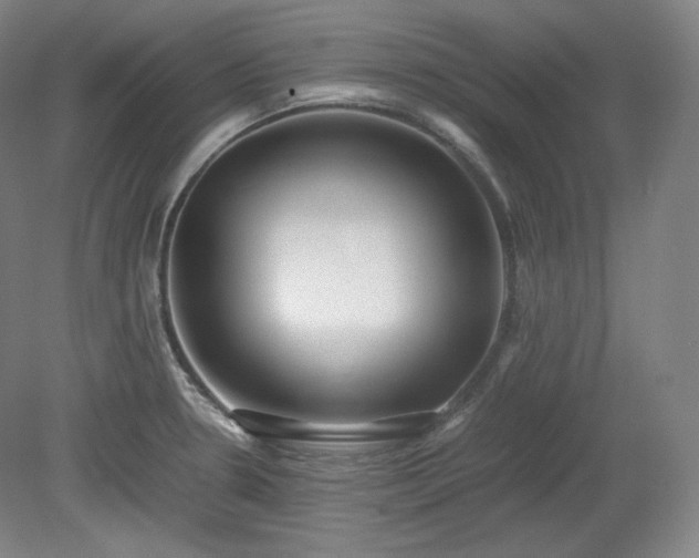 X0000078881330200611201400