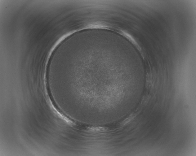 X0000078881331200611201400