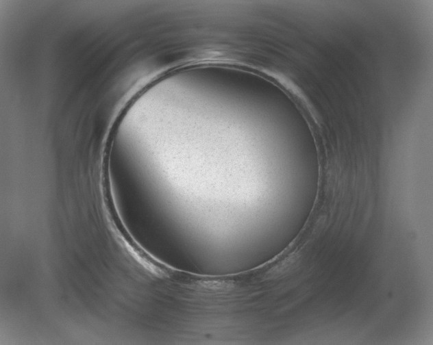 X0000078881333200611201400