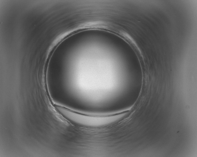 X0000078881336200611201401