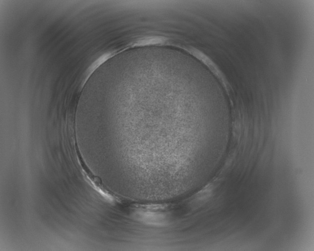 X0000078881337200611201401
