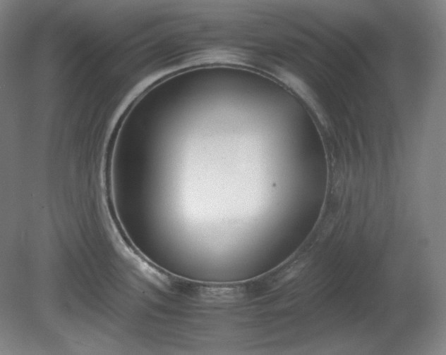 X0000078881339200611201401
