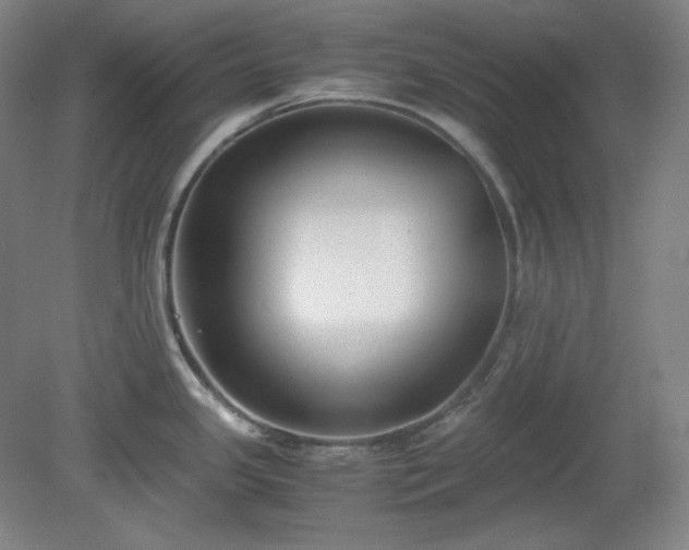 X0000078881341200611201401