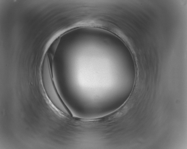 X0000078881344200611201401