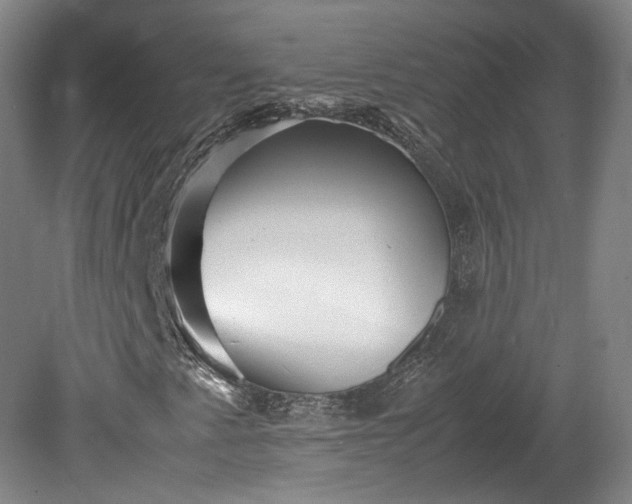 X0000078881345200611201400