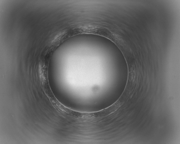 X0000078881346200611201400