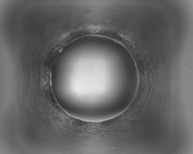 X0000078881349200611201400