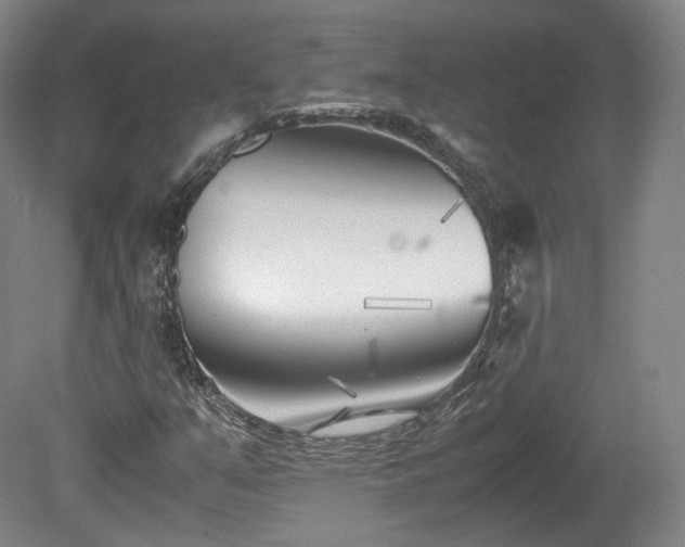 X0000078881351200611201400