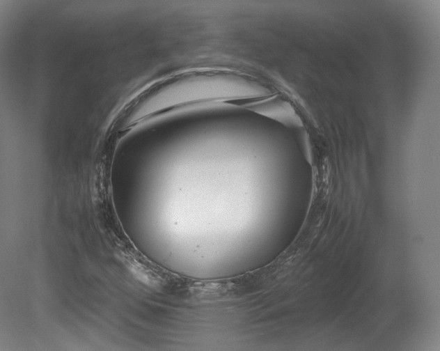 X0000078881352200611201400