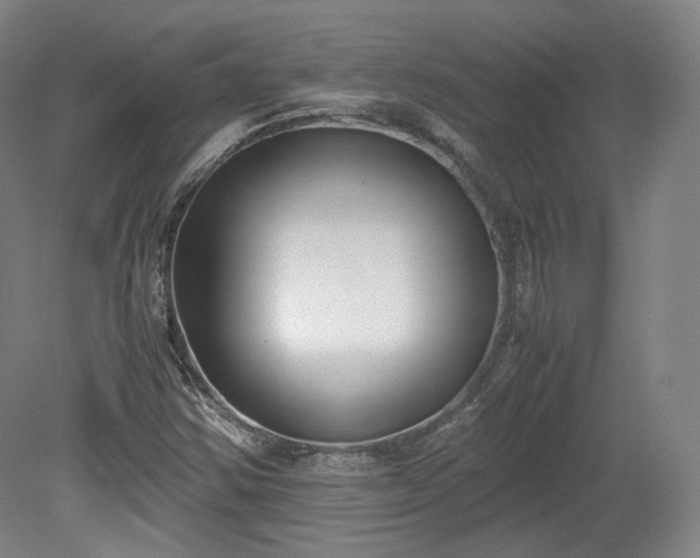 X0000078881354200611201400