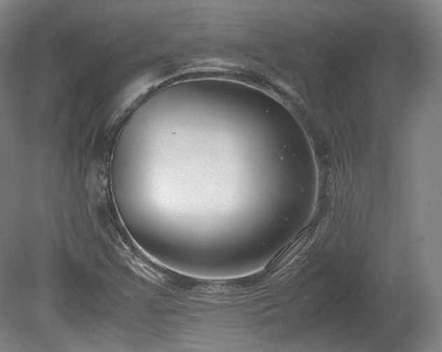 X0000078881355200611201400
