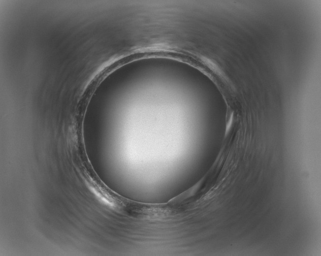 X0000078881356200611201400