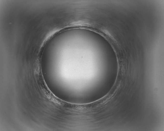X0000078881358200611201400