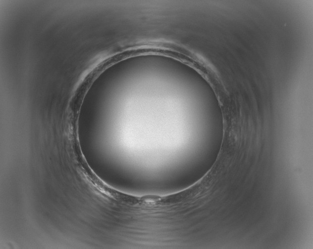 X0000078881360200611201400