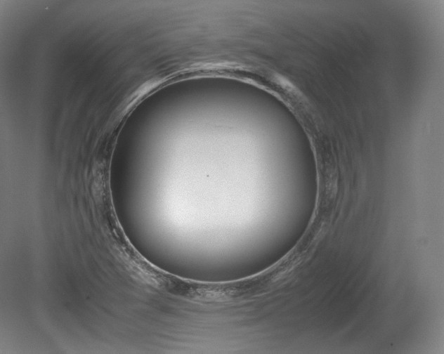 X0000078881361200611201400
