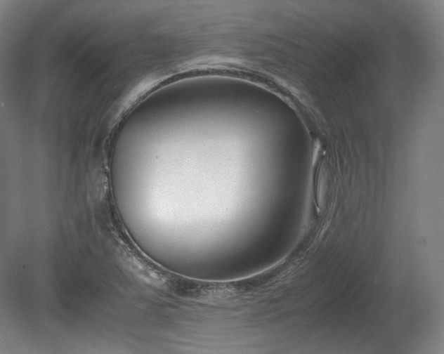 X0000078881363200611201400